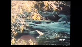 Video 1622976891: linda shaw, cumshots facials vintage, best vintage blowjob, vintage erotic, vintage big cock, vintage straight, hd vintage, best porn