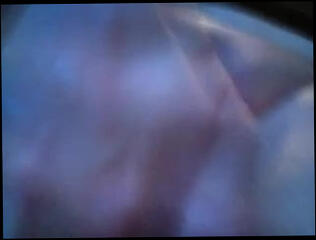 Video 201735501: fingering masturbation orgasm, ass fingered butt, ass fingering close, big butt fingering, fingering straight, private fingering, pussy