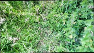 Video 1612723421: gay blowjob cum swallow, amateur couple homemade blowjob, mouth cum swallow, hd homemade couple