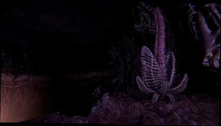 Video 1285727155: hentai porn animated 3d, 3d hentai anime game, 3d animation bdsm, 3d toon porn, 3d anime girl, 3d animated monster, anime girl plays, 3d lust, anime mask, tongue porn