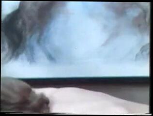 Video 166396301: vintage threesome sex, vintage hairy sex, cunnilingus hairy, hairy strip, threesome group sex, straight threesome, threesome cumshot