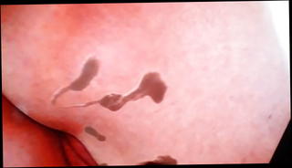 Video 1566843041: annette schwarz, man gay, gay hd, cum