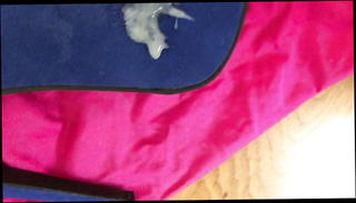 Video 1419670301: cock pov cum, pov masturbation cum, pov handjob cum, amateur pov cum, pov big cock amateur, hd pov cum, gay pov, high heels pov