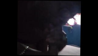 Video 1453104965: cock shemale blowjob, shemale hard cock