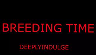 Video 1598942951: bareback creampie compilation, barebacking gay hardcore bukkake, amateur anal creampie compilation, extreme bareback bukkake gay, dripping creampie compilation, solo toying compilation, big cock bareback compilation, bondage sex compilation, bareback breeding compilation, creampie compilation hd, cock precum dripping solo, rough gay bareback sex, daddys big cock bareback, raw hardcore bareback sex, dominant daddy, dominated pussy, bareback muscular, dominated hard, tight pussy daddy, erotic