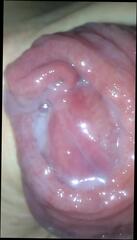 Video 310239001: pussy masturbation webcam, amateur pussy masturbate, webcam masturbation gay, pussy masturbation hd, amateur man masturbates, amateur latino gay, pussy pleasuring, thick pussy, pussy squeezing