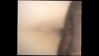 Video 811447805: white pussy, bear pussy