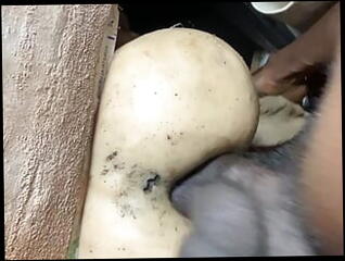 Video 1618897561: crossdresser dildo piss, twink bareback piss, crossdresser anal fuck dildo, dildo ass fucking crossdresser, twink boys bareback fuck, twink fucked bareback gay, dildo anal fuck fingering, dildo fucking pussy fingering, twink bareback fucking amateurs, african twinks bareback fuck, crossdresser fucked big dildo, twinks hot bareback fucking, grandpa fucked crossdresser, bareback fuck young twink, big dick twinks bareback, crossdresser dildo masturbation, twink big cock bareback, dildo licking fingering, twink barebacking tight, crossdresser huge dildo, fingers dildos deep, retro crossdresser, dildo deep throat fuck, gay men bareback fucking, boy fingering pussy indian, twink boy jack, crossdresser public fuck, fucking bareback hd, uncle bareback