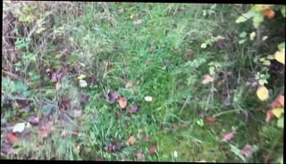 Video 352532801: gay handjob, public handjob, man handjob, handjob hd