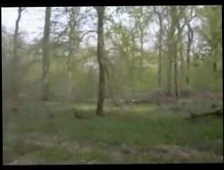 Video 135664501: cuckolding babe sucks, penis cuckold, amateur cuckold, cuckold blowjob, little cuckold, sucking amateur straight