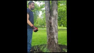 Video 1625347683: solo bisexual male, gay amateur bisexual, amateur solo handjob, gay men solo, solo muscular male, bisexual college, babysitter handjob