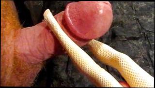 Video 1134324501: homemade sex toy, homemade masturbation toys, sex toy gay, amateur sex toy