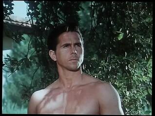 Video 1656233081: peter north, aliyah yi, hairy vintage anal, hairy cock dick, hairy pecker, vintage beauty cock, vintage big dick, hairy cock outdoor, vintage straight, milf holes, giant hairy, large hairy