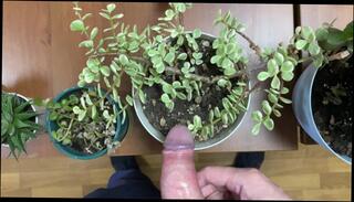 Video 1601338743: pee piss urine, boy pissing urinal, solo boy pissing, men pissing urinal, male pov pee, piss boys cock, solo boy big cock, solo boy dick, amateur pov dick, boys pissing guys, solo man big dick, pov 60fps