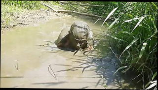 Video 1181926801: nude man, nude play, man gay