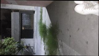 Video 1596816521: amateur teen solo masturbation, solo teen masturbation hd, solo big cock masturbation, homemade masturbation solo, solo masturbation handjob, gay solo handjob, solo public masturbation, solo outdoor masturbation, small cock solo, mexican solo