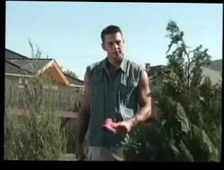 Video 117723201: cock anal creampie, ass anal creampie, tits anal creampie, housewife creampie, huge anal creampie, nipples creampie, boobs creampie, creampie straight, stuffed creampied, very hot girl, great sex