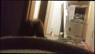 Video 1573711851: daddy cock gay, daddy bear big cock, masterbating alone, big muscular daddy, american daddy