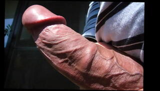 Video 117485675: cock solo compilation, gay solo compilation, solo male compilation, hard cock compilation, balls compilation, gay erect cock, cock home alone