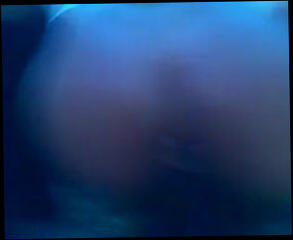 Video 237036201: tranny bareback creampie, fucks guy bareback creampie, shemale bareback creampie, amateur bbw creampie, ebony bbw creampie, black bbw creampie