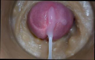 Video 1656816241: crossdresser femboy sissy fucking, twink sissy femboy cum, indian sissy femboy crossdresser, fetish crossdresser sissy, twink boys bareback fuck, gay bareback twink boy, amateur teen sissy crossdresser, bareback twink gay sex, twink boy friends bareback, sissy femboy blowjob, sissy crossdresser cock, bareback fucks asian twink, bareback fuck young twink, sissy crossdresser toying, sissy femboy masturbate, grandpa fucked crossdresser, twink big cock bareback, hunk barebacks twink, twink old grandpa, twink barebacked roughly, gay man fucking twink, old grandpa close cum, fetish fantasies fuck, fucking bareback hd, sperm pussy, sperm injection, large toy, camera toys