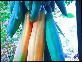 Video 1605252351: bareback twink massage, vintage twinks bareback, gay bareback twink boy, bareback gay teen twinks, amateur african twinks bareback, daddy barebacks asian twink, twink big cock bareback, barebacks young twink gay, hunk barebacks twink, black twink barebacks amateur, crossdressing gay twink, twink bareback anal, twinks blowjob bareback, barebacking european twink, gay twink nipple, crossdresser nipple play, twink old gay man, gay twink american, gay arab bareback, teen massage hd, cock pussy, moist cock, hot babe