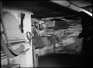 Video 194641001: vintage catfight, softcore bondage, bondage bitch, softcore striptease, bondage straight