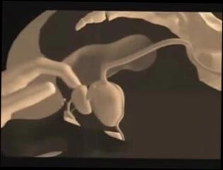 Video 175136201: cock gay sex porn, gay porn sex small, amateur sex porn