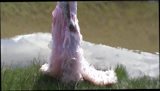 Video 1200819901: shemale solo joi, solo shemale masturbating, pretty shemale solo, shemale beauty solo, love solo masturbation, mature solo masturbation, pink joi