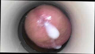 Video 305387001: masturbate cum cam, sex cam masturbates, amateur cam masturbation, sex toy cam, cock big cum masturbation, gay big cock masturbate, gay sex man cocks, wife pussy, amateur masturbation hd