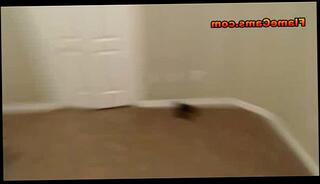 Video 147831025: tiny tits amateur, tiny tits redhead, tits femdom, femdom pussy, femdom babes, tiny gorgeous, petite femdom, femdom small, hot femdom, tits webcam pussy, amatuer webcam