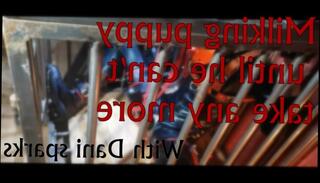 Video 1475605403: bdsm bondage fetish, milking machine masturbation, cock milking machine, milking cock solo, bondage amateur bdsm, male milking machine, bondage cage, cock milking handjob, solo male masturbation cumshot, solo big cock masturbation, solo masturbation big dick