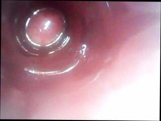 Video 1591483401: anal dildo toy fetish, dildo toy fetish cock, sex dildo toys solo, solo dildo masturbation orgasm, solo anal dildo fuck, solo anal dildo amateur, fetish gay solo masturbation, solo homemade dildo, solo dildo ass, solo dildo webcam, solo dildo cum, anal dildo cam, dildo fucking daddy, self anal dildo, small anal dildo, solo toy hd, american fetish, old dildo, deep inside ass, butt explored