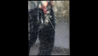 Video 1618718023: pissing pee compilation, pissing peeing fetish, solo pee fetish, gay solo cumshot compilation, piss cum compilation, pissing amateur compilation, gloryhole cumshot compilation, solo male cumshot compilation, pee pissing outdoor, public pissing compilation, glory hole compilation, pissing cumming outside