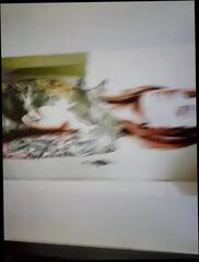 Video 343370201: tiny bbc, tiny white cock, bbc stroking cock, man gay