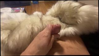 Video 1580462603: amateur oral solo, best amateur solo, solo sexuality, solo male cock, solo male sex, solo brunette amateur, amateur solo female, amateur mature solo, solo blowjob, tongue cock