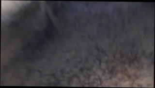 Video 1007495001: gay bareback anal fucking, cock bareback anal fucking, bareback black cock fucks, bareback fucking big cock, bareback fucking bears, fucking bareback hd, fat cock bareback