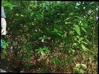 Video 1611256681: twink sissy femboy cum, sissy femboy twerking, crossdresser femboy sissy, sissy crossdresser compilation, sissy bareback compilation, ass femboy sissy gay, gay bareback twink boy, sissy femboy masturbate, public masturbation sissy crossdresser, big ass femboy sissy, sissy femboy amateur, amateur crossdresser bareback stocking, sissy crossdresser homemade, grandpa cum compilation, gay twink underwear, big cock bareback compilation, sissy femboy lingerie, black femboys sissys, twink barebacking outdoors, old sissy crossdresser, twerking homemade pornstar, grandpa big cock webcam, fat ass twerking, cum compilation hd, crossdresser public toilets