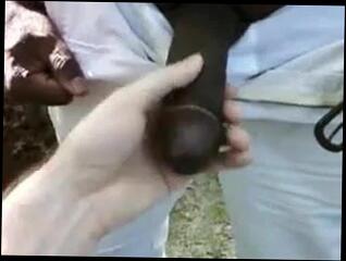 Video 39511501: gay porn black cock, gay porn beautiful, park cock