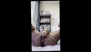 Video 1657106823: anal plug fetish, fetish hairy, gay anal plug, amateur anal plug, anal plug insertion, dude anal