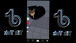 Video 1591167495: femdom pussy ass, femdom bj, big ass femdom, big tit femdom, femdom pmv, asian femdom, shake big ass tits, big ass dancing shaking, ass dancer