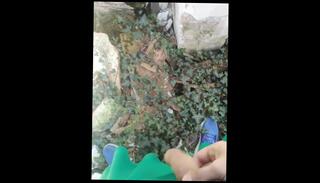 Video 1161965003: solo male masturbation pov, pov dick sucking amateur, sucking big dick pov, dick pov handjob, pov suck job, amateur public pov, solo men masturbating, outside pov, old pov, muscular solo