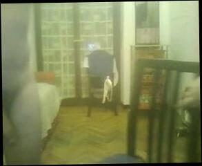 Video 54902001: tits anal, straight anal, italian anal