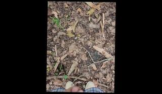 Video 1597259843: solo piss masturbation, solo male masturbation pov, fetish solo masturbation, amateur pov masturbation, amateur public piss, pissing outdoors masturbating, male piss desperation