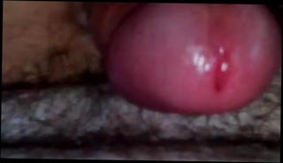 Video 506301801: amateur gay cum, dick cuming, horny dick, playing cuming, cum hd