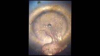 Video 240055303: interracial fetish, fetish solo, black solo amateur, amateur solo male, amateur solo female, 18 year old solo, solo spit, friend interracial