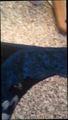 Video 313007601: washing machine, gay panty, man gay, gay hd