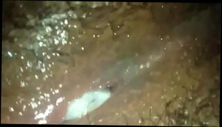 Watch the video about Anita's creamy pussy