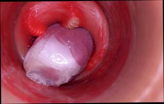 Video 1630327761: crossdresser femboy sissy fucking, twink sissy femboy cum, twink boys bareback fuck, daddy fucks twink bareback, gay bareback twink boy, amateur teen sissy crossdresser, bareback twink gay sex, twink boy friends bareback, sissy femboy blowjob, daddy barebacks asian twink, sissy crossdresser cock, bareback fuck young twink, sissy femboy anal, sissy femboy masturbate, grandpa fucked crossdresser, twink big cock bareback, hunk barebacks twink, sissy crossdresser homemade, twink old grandpa, indian sissy femboy, twink condom, gay man fucking twink, condom ejaculate, condom pussy, fucking bareback hd, inside condom, condom deep, condom huge, femboy fantasy