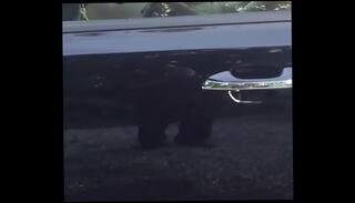 Video 1050252325: sexy boy solo, solo boy cum, solo boy sex, public solo, pig boy, big dick